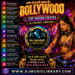 Bollywood Hits DJ Crates - Indian DJ Music Library - 35GB and 5,000Tracks