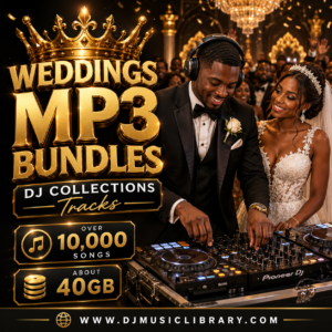 Wedding DJ Music MP3 Bundle – 10,000+ Songs, 40GB Collection