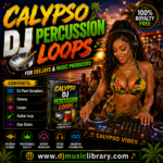 Calypso DJ Percussion Loops collection. Professionally designed for Deejays, Music Producers