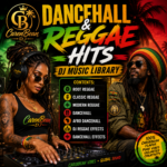 Dancehall Reggae Hits DJ Music Library – Root, Classic, Modern (Digital Download)